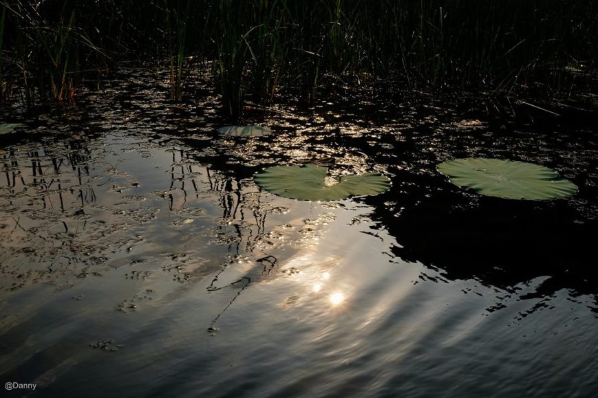 13483084_870232573081745_2048465356752500804_o