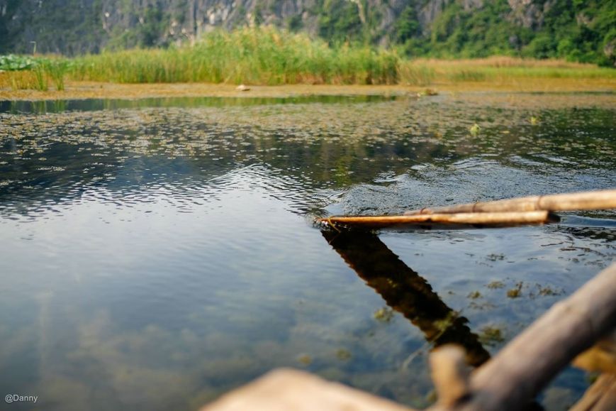 13483133_870232756415060_5188851271475546348_o