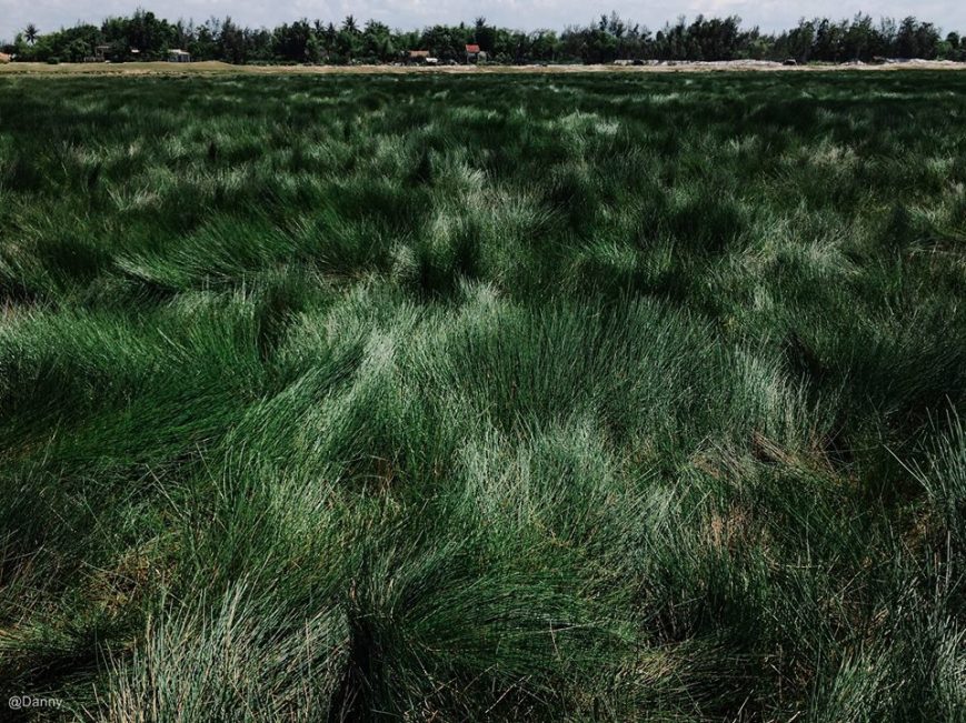 13495487_873406072764395_2406480736884711173_o