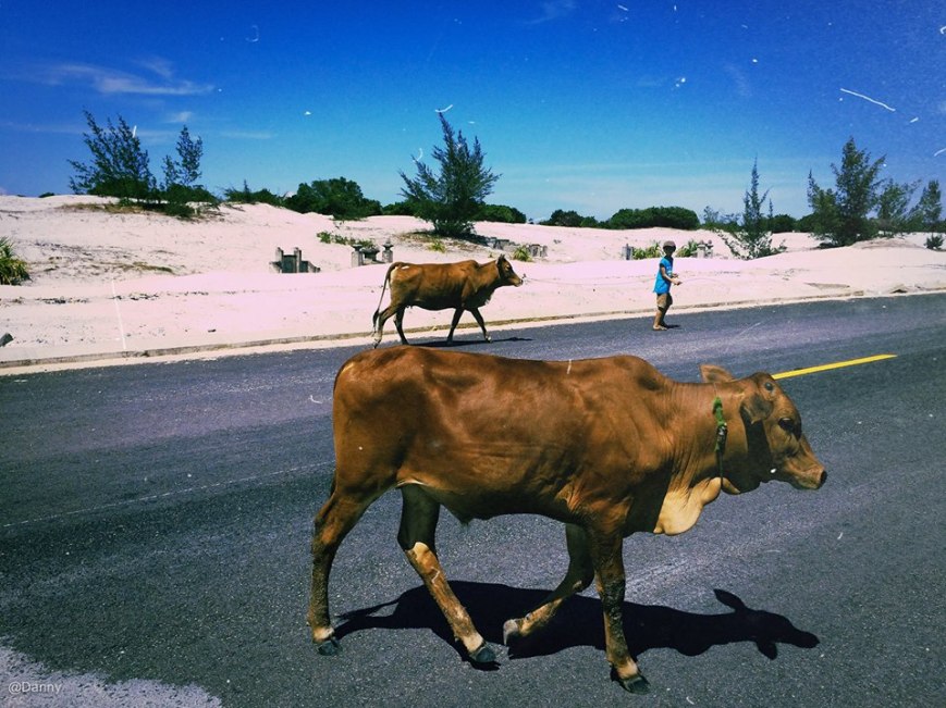 13495496_873405639431105_6263076565529846975_o