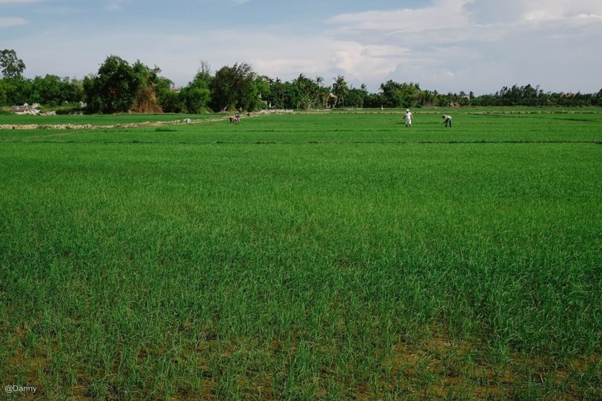 13495546_872992679472401_3010669712904689761_o