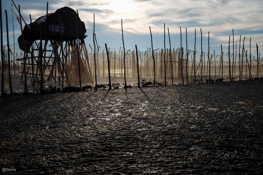 13497817_871816862923316_5983547454345682308_o