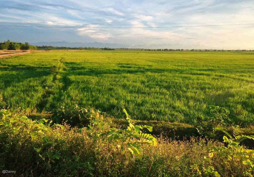 13497884_871343609637308_2775654697129179839_o