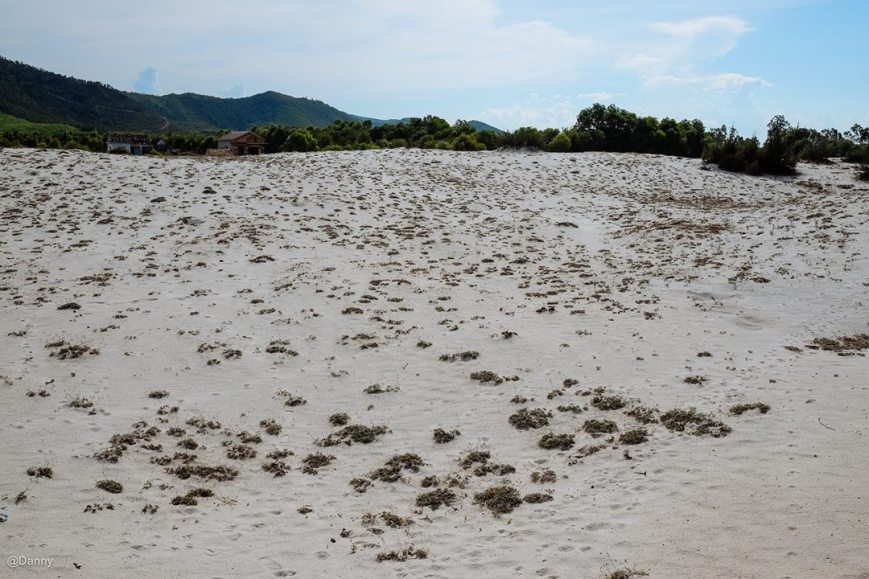 13498087_871341309637538_6274483658700980264_o