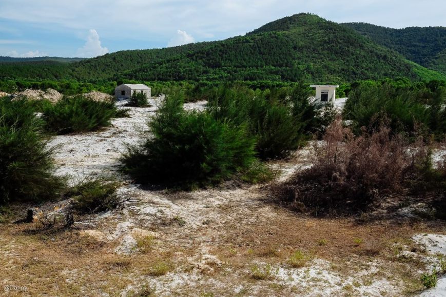 13502674_871341276304208_533784408679464600_o