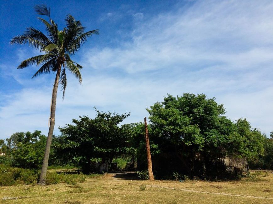 13503044_871340426304293_2534413145294680109_o