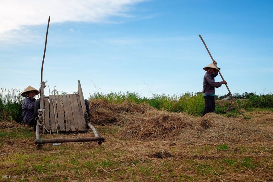 13503059_871343246304011_1536428933792964328_o