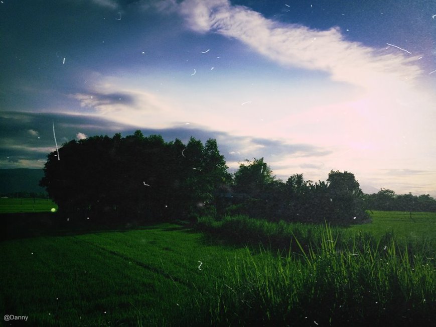 13503081_873408529430816_5666432601568128626_o