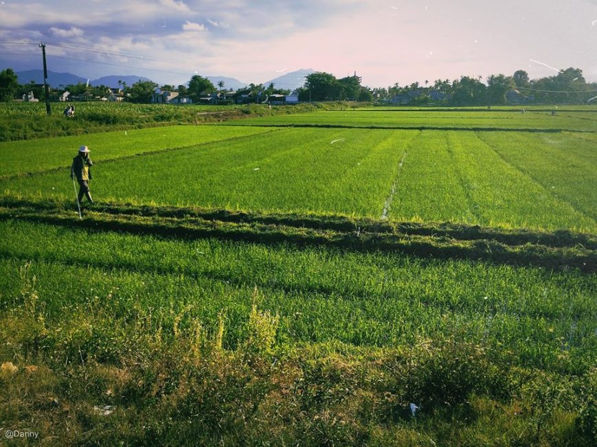 13528352_873406642764338_9046524400937212989_o