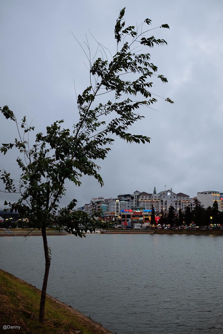 13495399_875506105887725_2476914000411952838_o