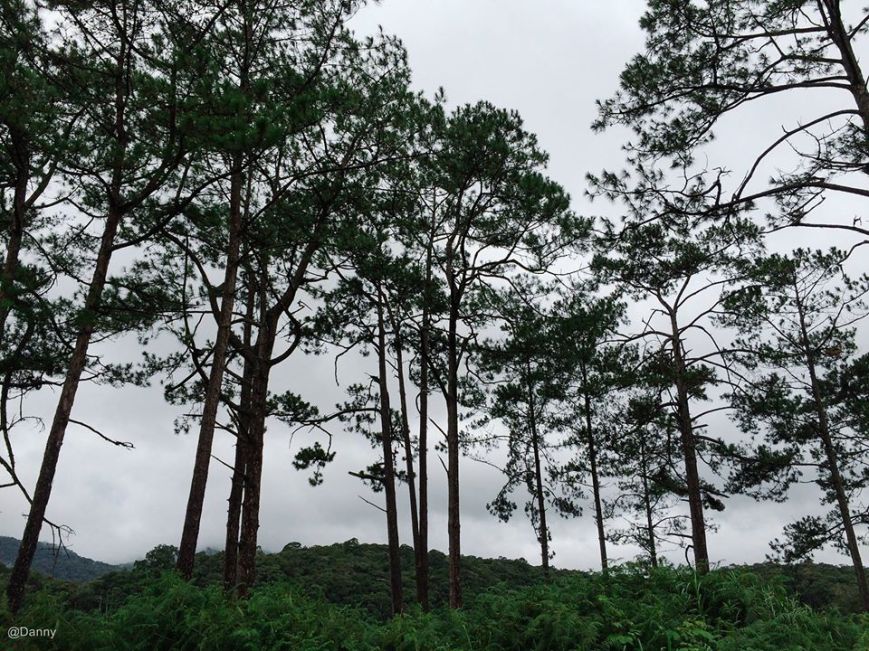 13502590_874944615943874_8502133051130661917_o