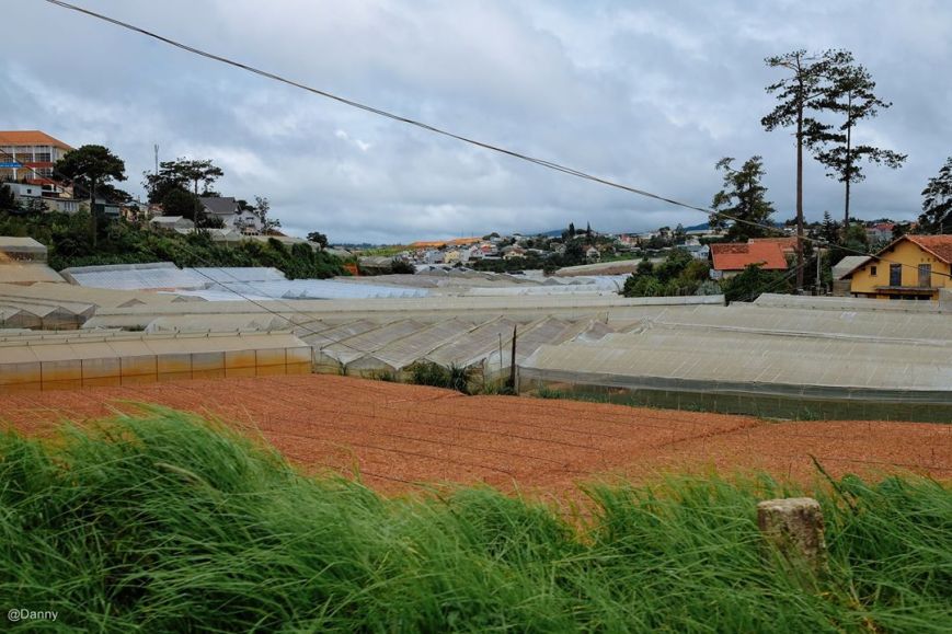 13502707_875498449221824_2529659303767311037_o