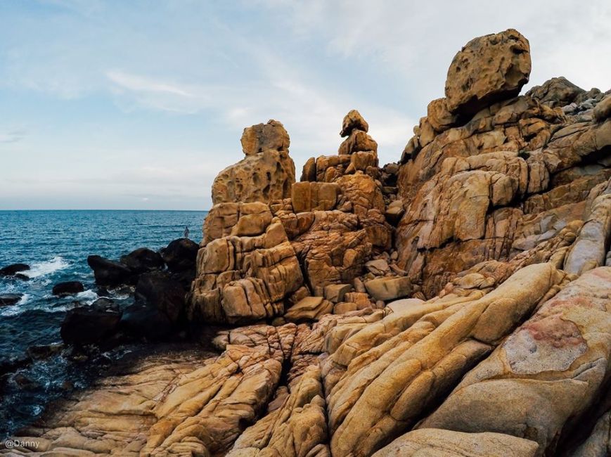 13502820_876503142454688_2129209259415891977_o