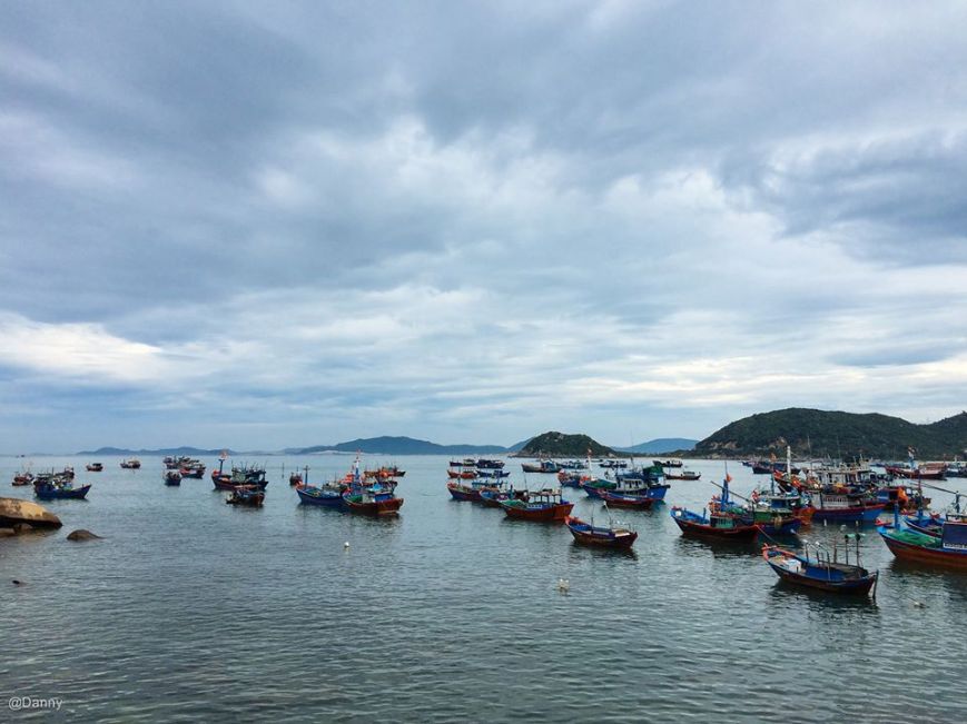 13502900_874940632610939_338106839557478179_o