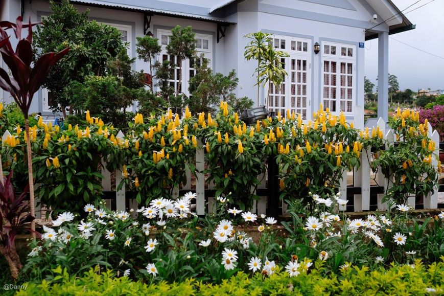 13517427_875506229221046_4989969045770203700_o