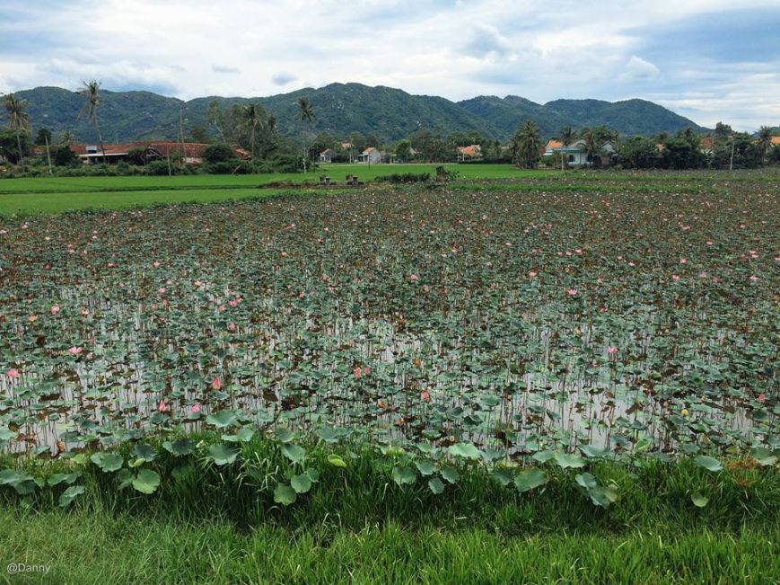 13517643_874939615944374_4379050962462396228_o