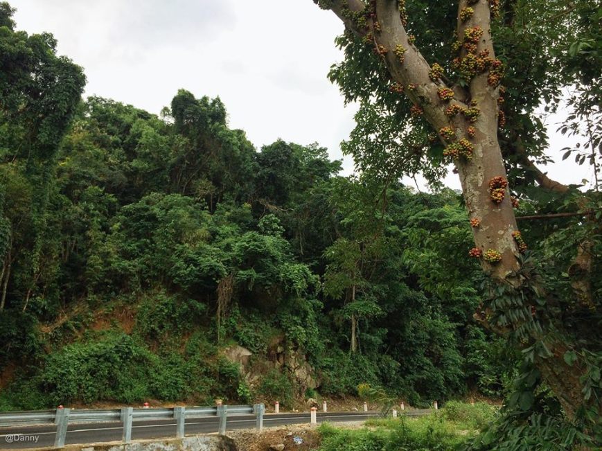 13522726_876008212504181_7431022388497346083_o