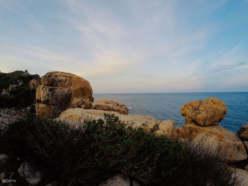 13522826_876502485788087_1184888207874173677_o