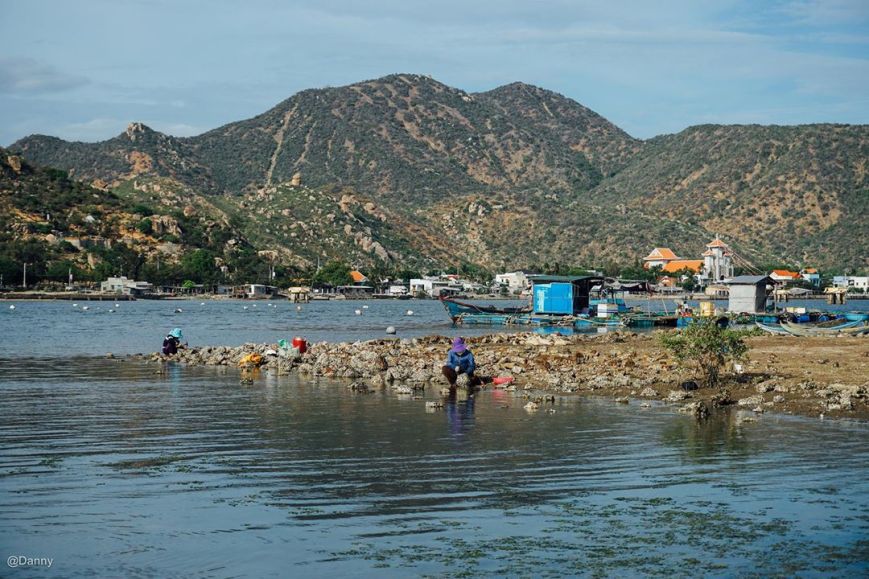 13522892_876500599121609_6010843540060986281_o