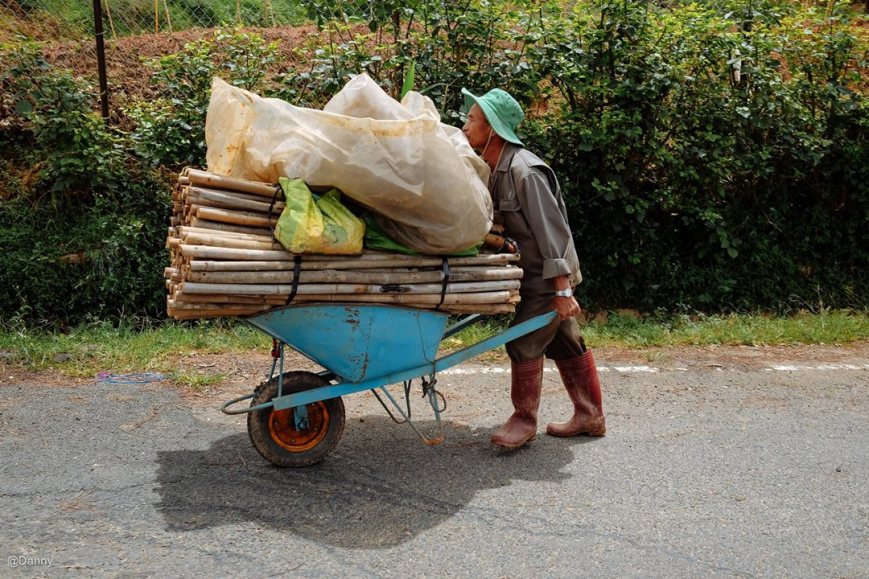 13528056_875498545888481_2232090374933404454_o