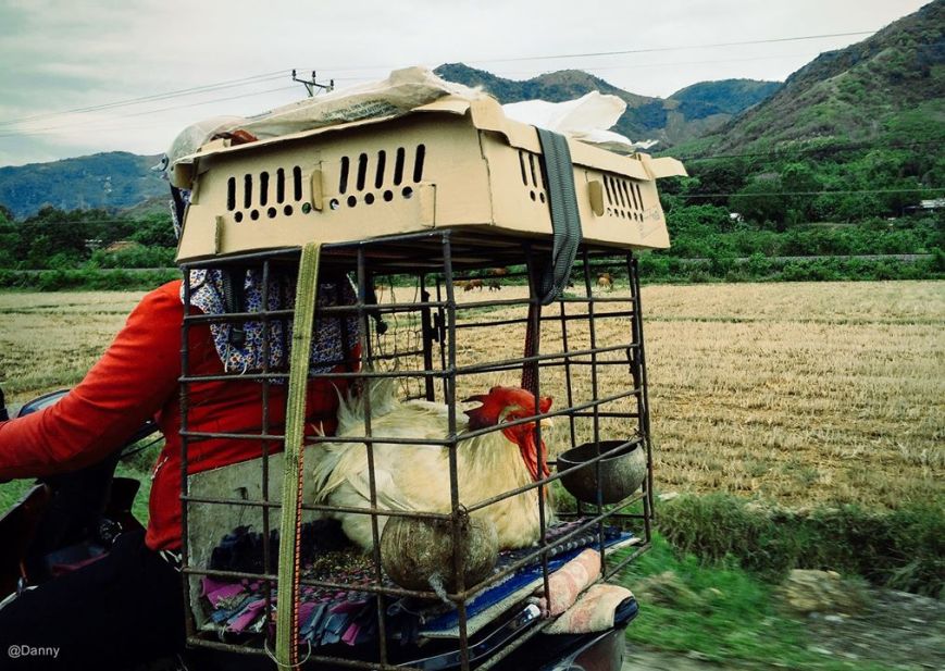 13528148_874941595944176_6017589371416668711_o