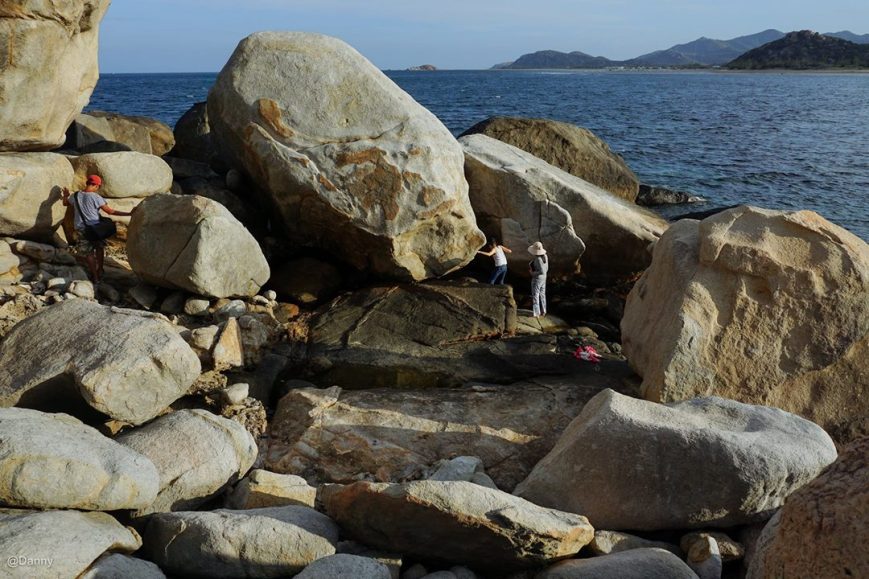 13528166_876503322454670_3548041804964006889_o