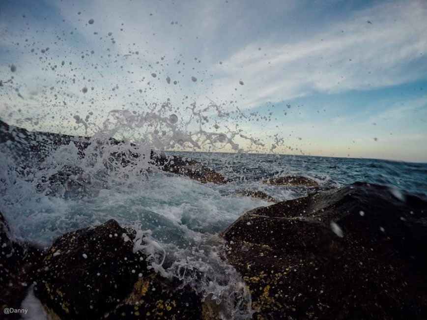 13528202_876502489121420_4363662731839782669_o