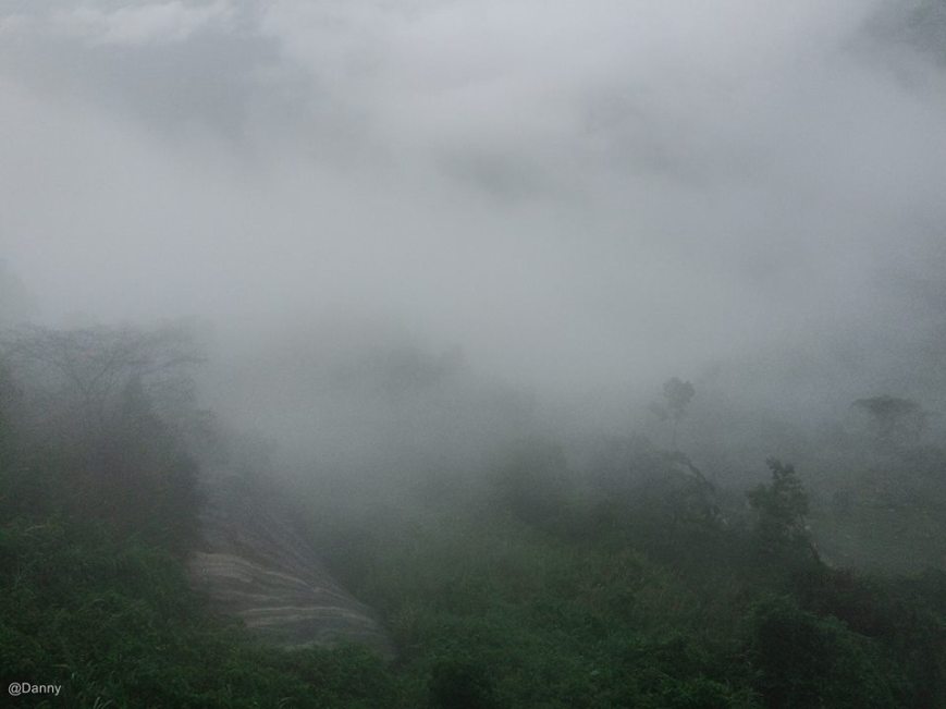 13528291_874943279277341_630534283017395479_o