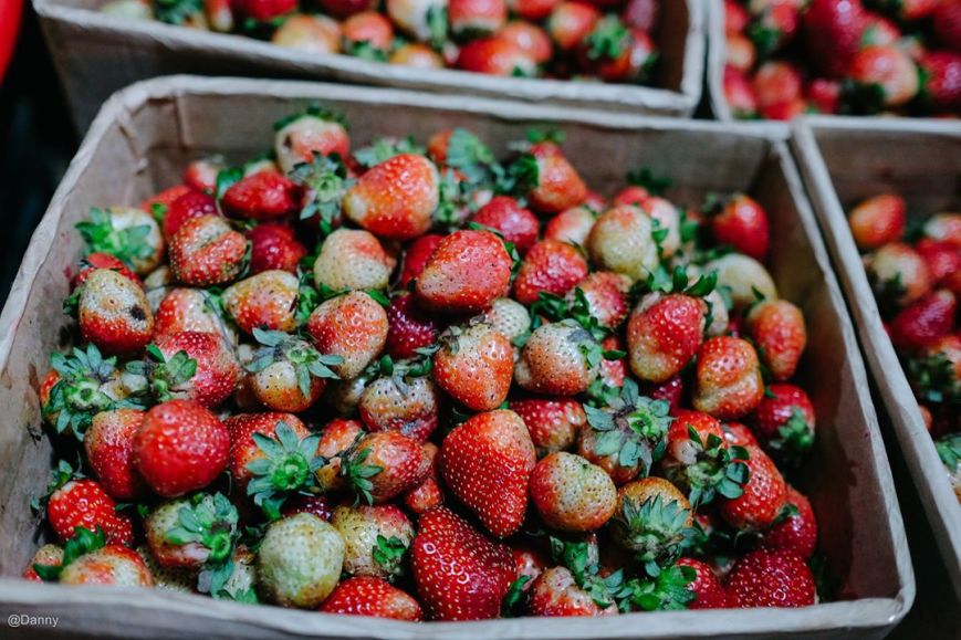 13528596_874950499276619_7581250031735069770_o