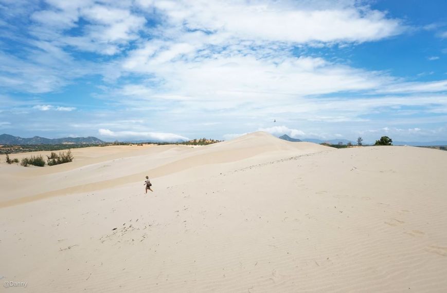 13558853_876493649122304_1872186646696230573_o