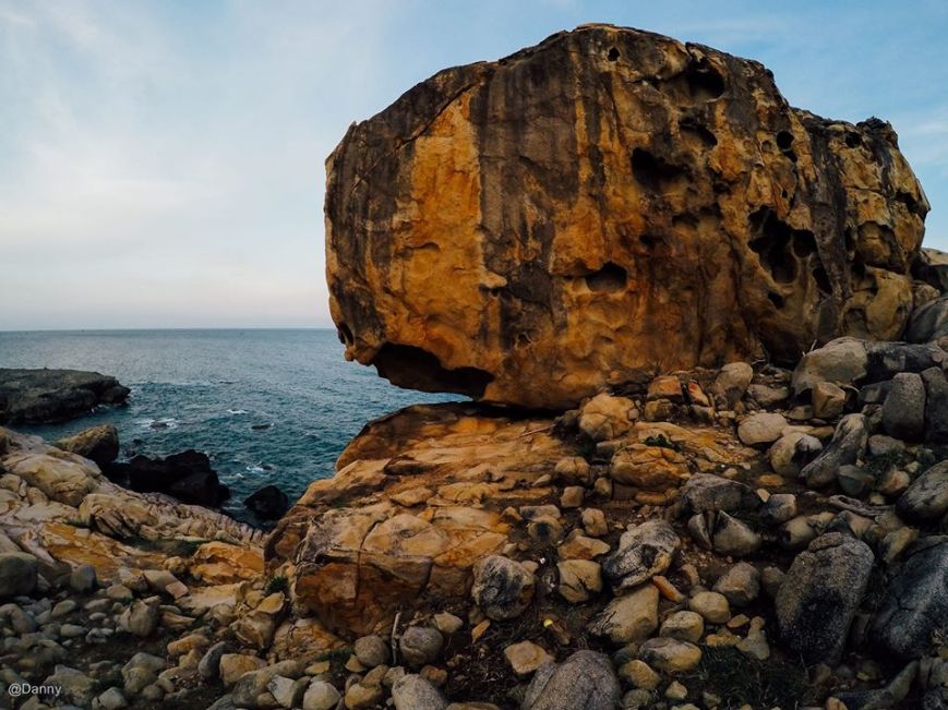 13558905_876503199121349_3620282114047539057_o