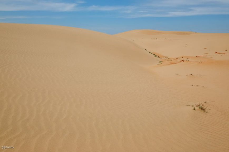 13568799_876494489122220_1130782265849932811_o