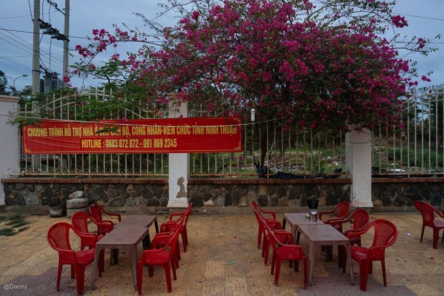 13568927_876008962504106_946735723272609195_o