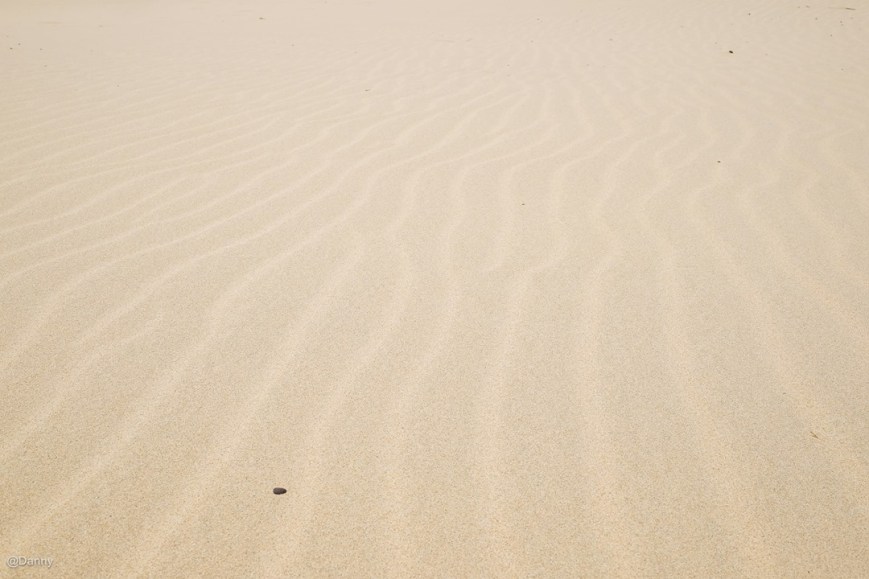 13575840_876493979122271_7381492308262073991_o