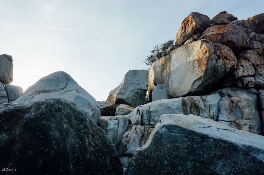 13575855_876503205788015_4978137836633202726_o