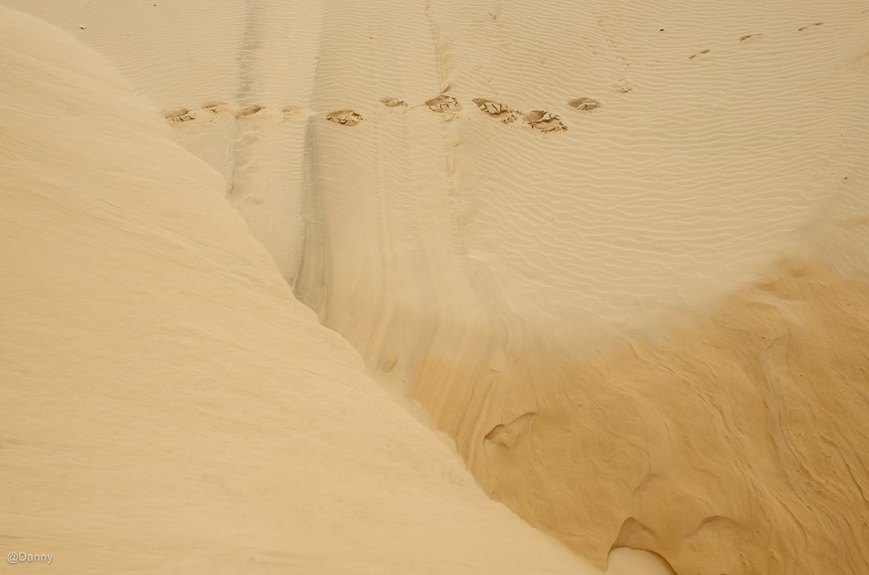 13575913_876494432455559_5067626411933681806_o