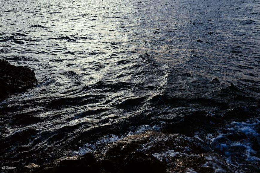 13576816_877175879054081_2540060452088777472_o