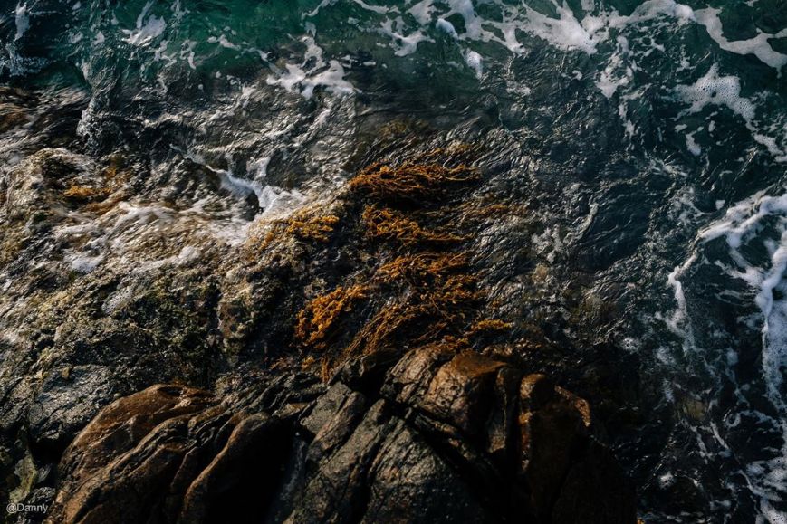 13580406_877176279054041_8475152726206773372_o