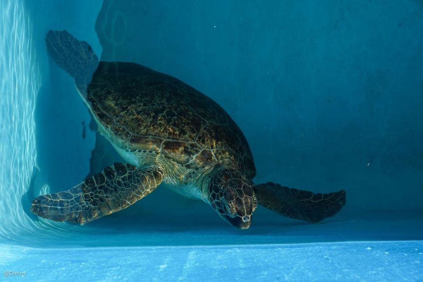 13580411_876501002454902_3716317901591491301_o