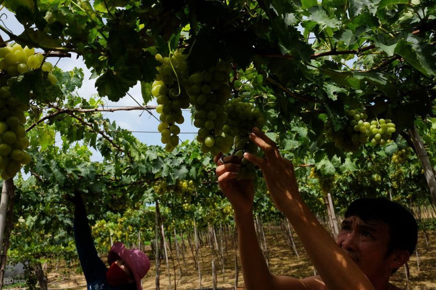 13580676_876495919122077_134933290897549647_o