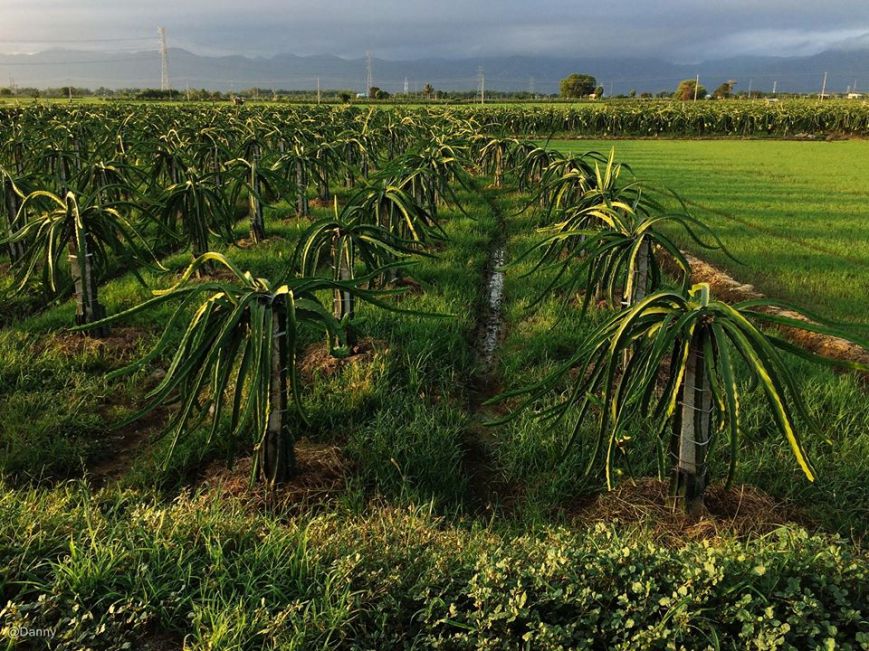 13584942_877179489053720_9143020644133977391_o