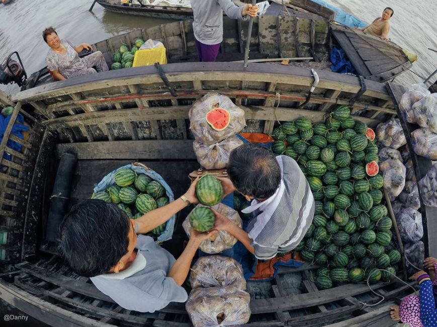 13662229_889171884521147_2551346555584892946_o