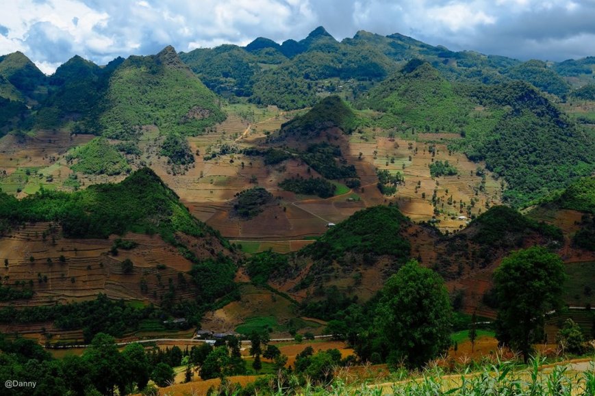 13667716_890972671007735_6104778701128099634_o