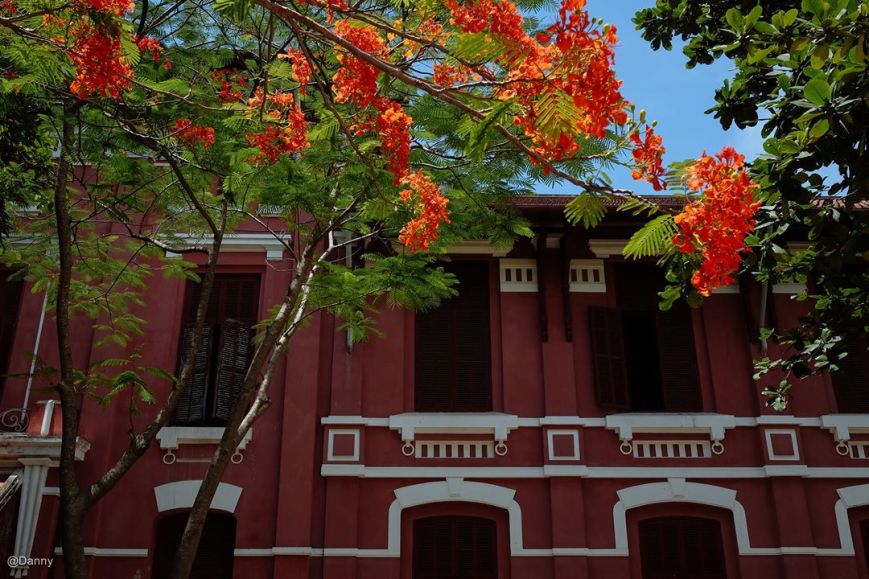 13701142_890974534340882_3523070197510973276_o