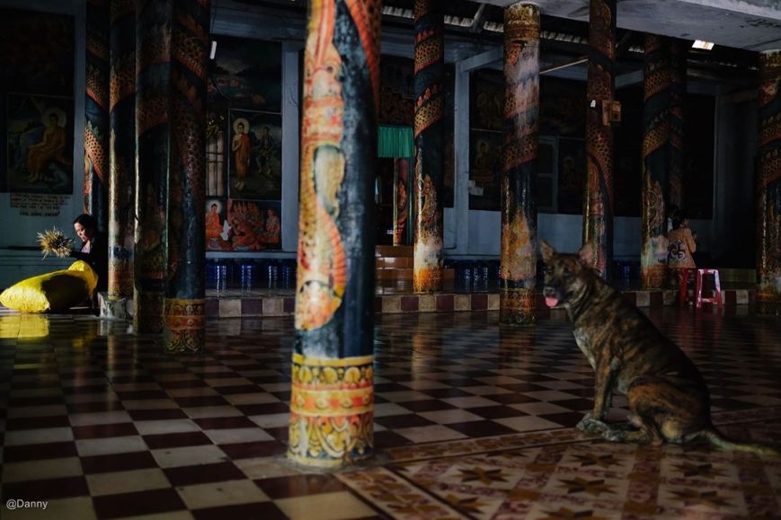 13708140_889175391187463_1328949508047214388_o