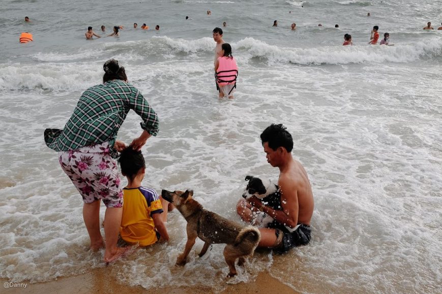 13724089_890972241007778_7095574201743946490_o