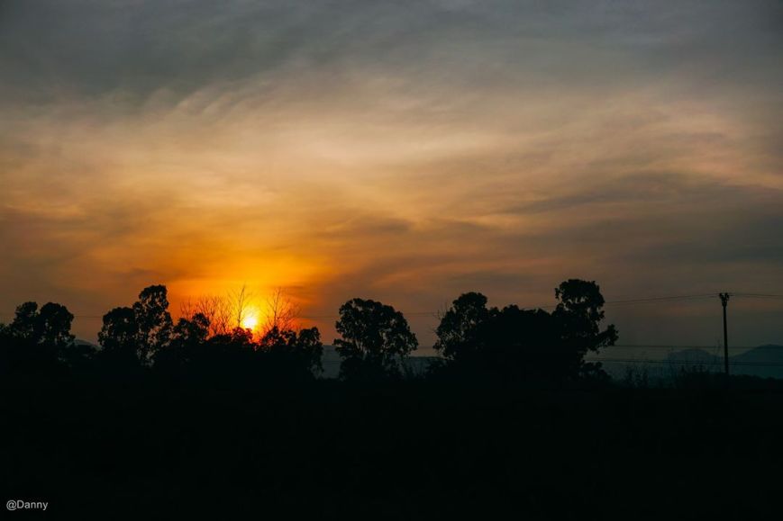 13730831_890974491007553_1746946472079425886_o