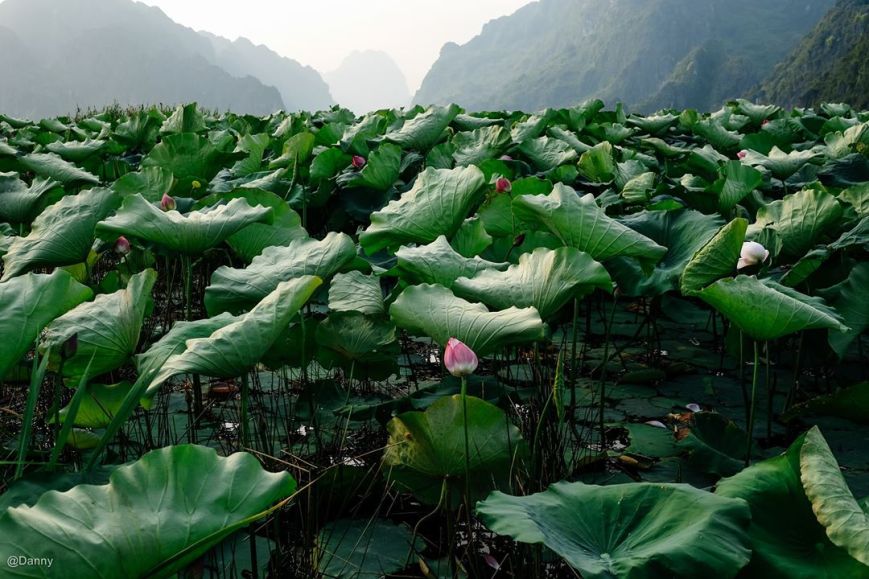 13732005_890976234340712_5093178655735370263_o