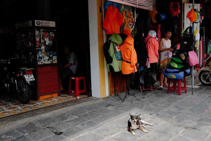 13734894_890974701007532_475991974817787275_o