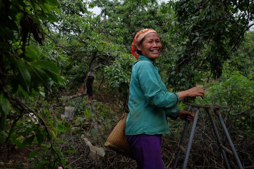 13734967_890972511007751_3781530409268542874_o